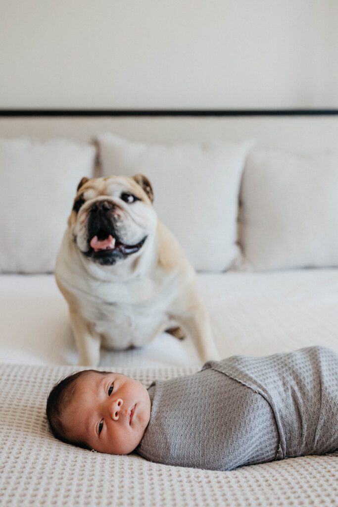 newborn on bed with dog