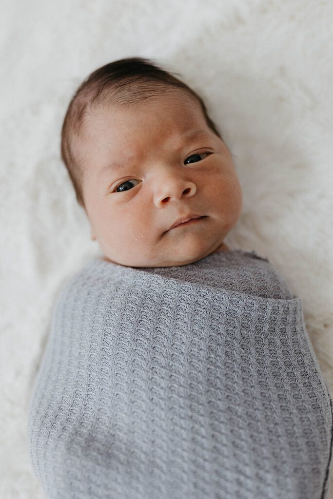 newborn photos in swaddle